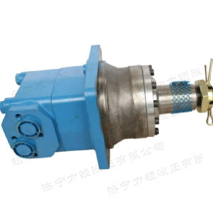 BMV車(chē)輪系列馬達(dá)